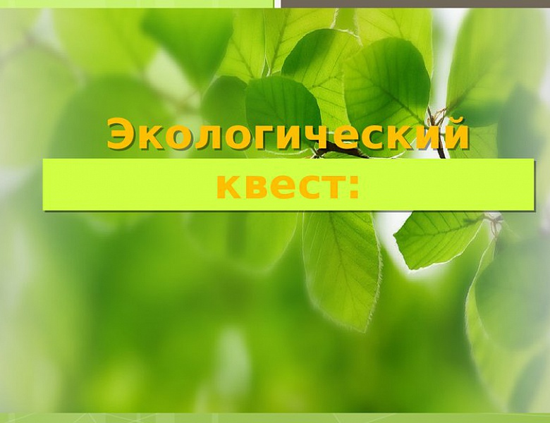 Экологический квест